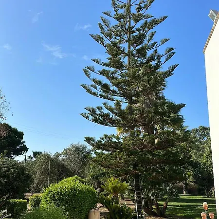 La Casa Del Pittore *