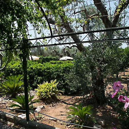 La Casa Del Pittore * Tuglie