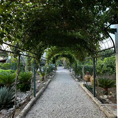 La Casa Del Pittore